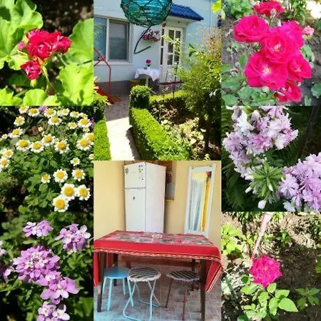 Vila Dorian Penzion Constanţa